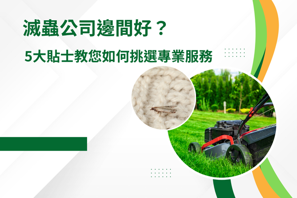 滅蟲公司邊間好?5大貼士教您如何挑選專業服務! 滅蟲公司邊間好?5大貼士教您如何挑選專業服務!