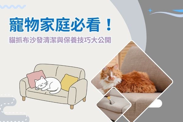 寵物家庭必看!貓抓布沙發清潔與保養技巧大公開 寵物家庭必看!貓抓布沙發清潔與保養技巧大公開