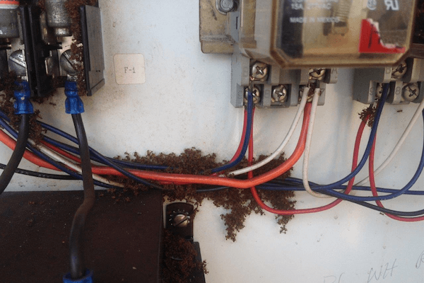 設備內的電力線路會被紅火蟻所分泌的蟻酸腐蝕，導致短路、跳電，造成設備故障。
