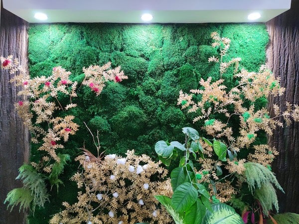 永生花/植物牆示意圖