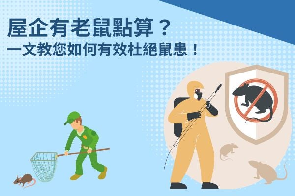 屋企有老鼠點算?一文教您如何有效杜絕鼠患! 屋企有老鼠點算?一文教您如何有效杜絕鼠患!