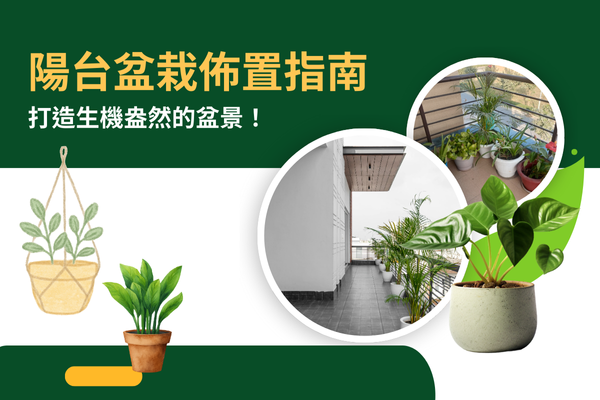 陽台盆栽佈置指南,打造生機盎然的盆景! 陽台盆栽佈置指南,打造生機盎然的盆景!