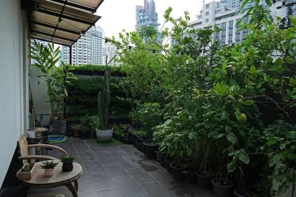 老屋陽台改造多少錢?自動澆灌、防腐木與水電園藝報價指南 老屋陽台改造多少錢?自動澆灌、防腐木與水電園藝報價指南