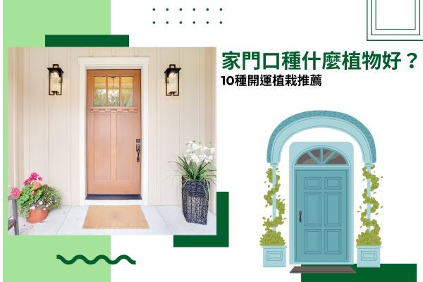 家門口種什麼植物好?10種開運植栽推薦! 家門口種什麼植物好?10種開運植栽推薦!
