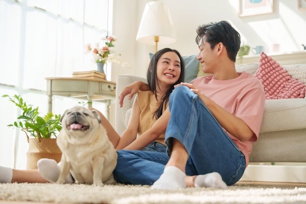 貓奴狗主必看!老屋翻新「寵物友善宅」的專屬工程與報價大數據 貓奴狗主必看!老屋翻新「寵物友善宅」的專屬工程與報價大數據