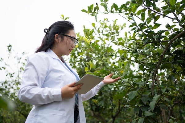 什麼是植物診療師?