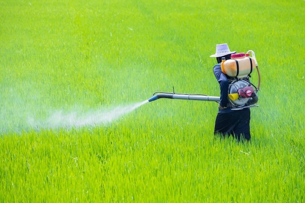 常見病蟲害的防治方法有哪些?