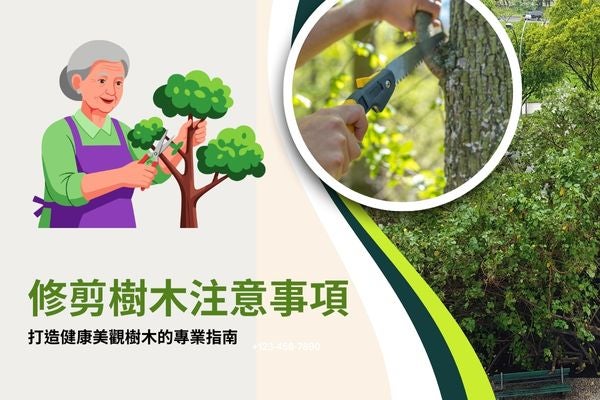 修剪樹木注意事項，打造健康美觀樹木的專業指南