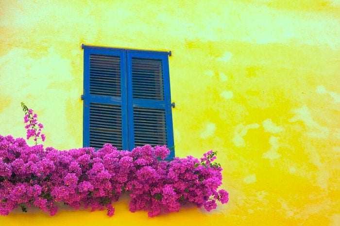 漆成藍色的窗戶搭配上桃紅色的花朵