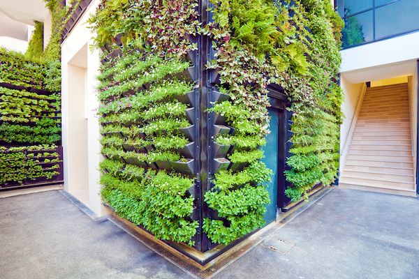 2025年植栽牆<b>設計</b>趨勢：創造居家與商業空間的綠意美感