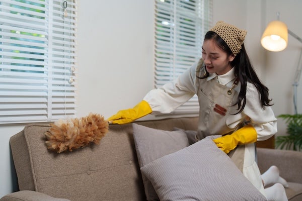 如何正確清潔貓抓布沙發?