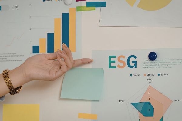 企業為什麼需要專業永續顧問