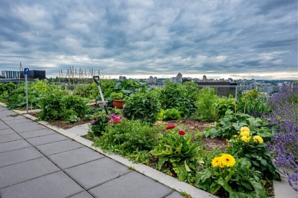 該如何在都市生活中創造出庭園造景？