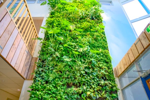 植生牆