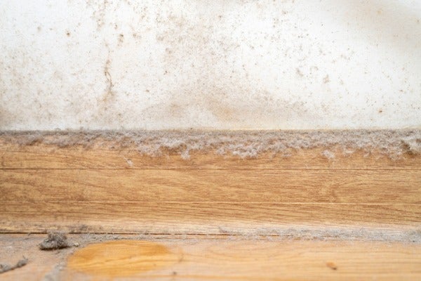 踢腳板與靠牆傢俱間的縫隙容易累積灰塵