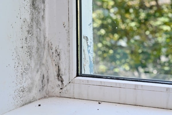 窗邊漏水造成壁癌