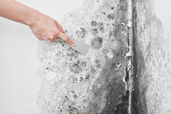 水電行師傅處理牆壁漏水產生的壁癌