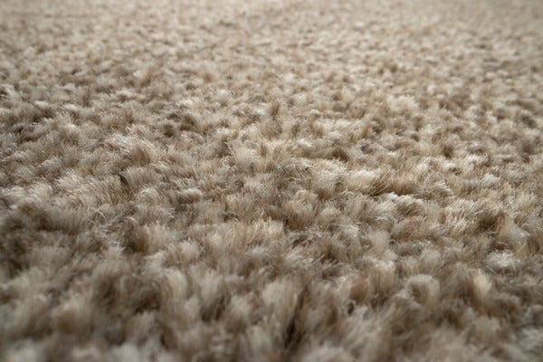 ▲地毯的絨毛結構，長時間使用後容易大量累積髒污
