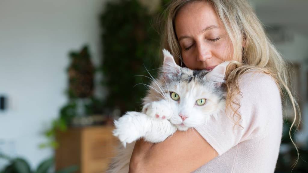 : A calm woman with eyes closed cuddles a big fluffy cat