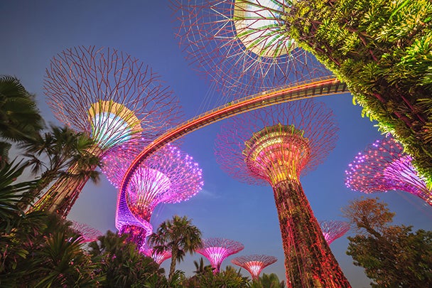 Singapore gardens by the bay