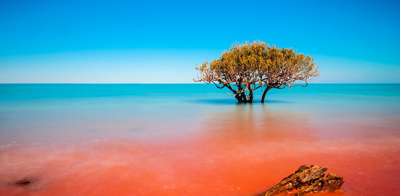 Crab Creek, Broome