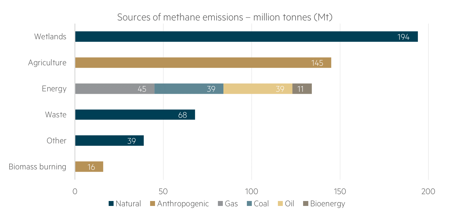 Sources of methane emissions (Mt)