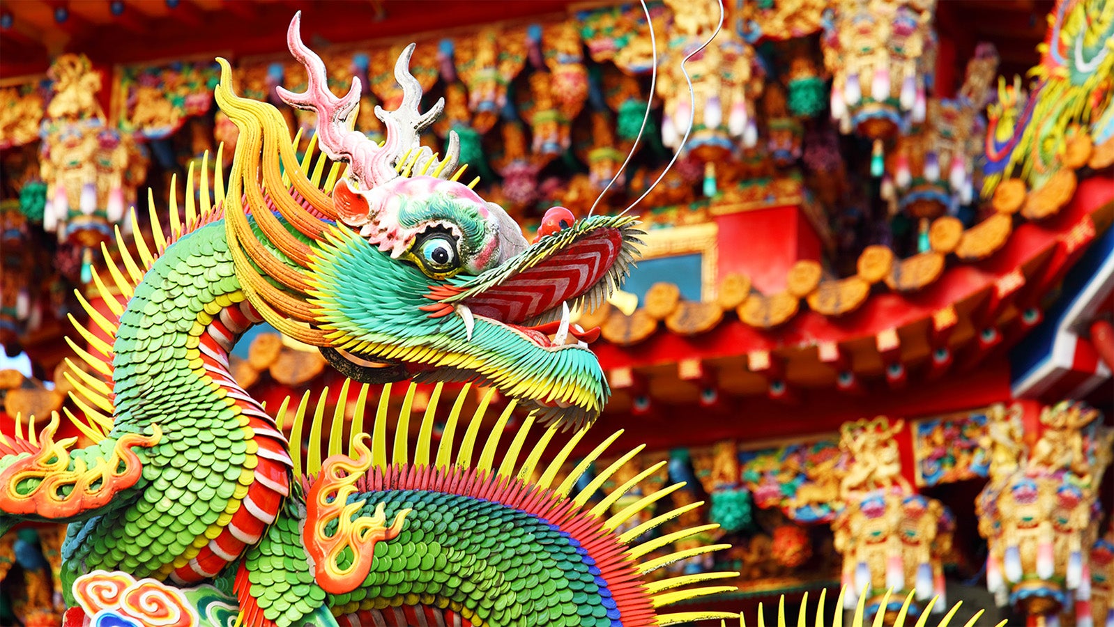 Asian temple dragon