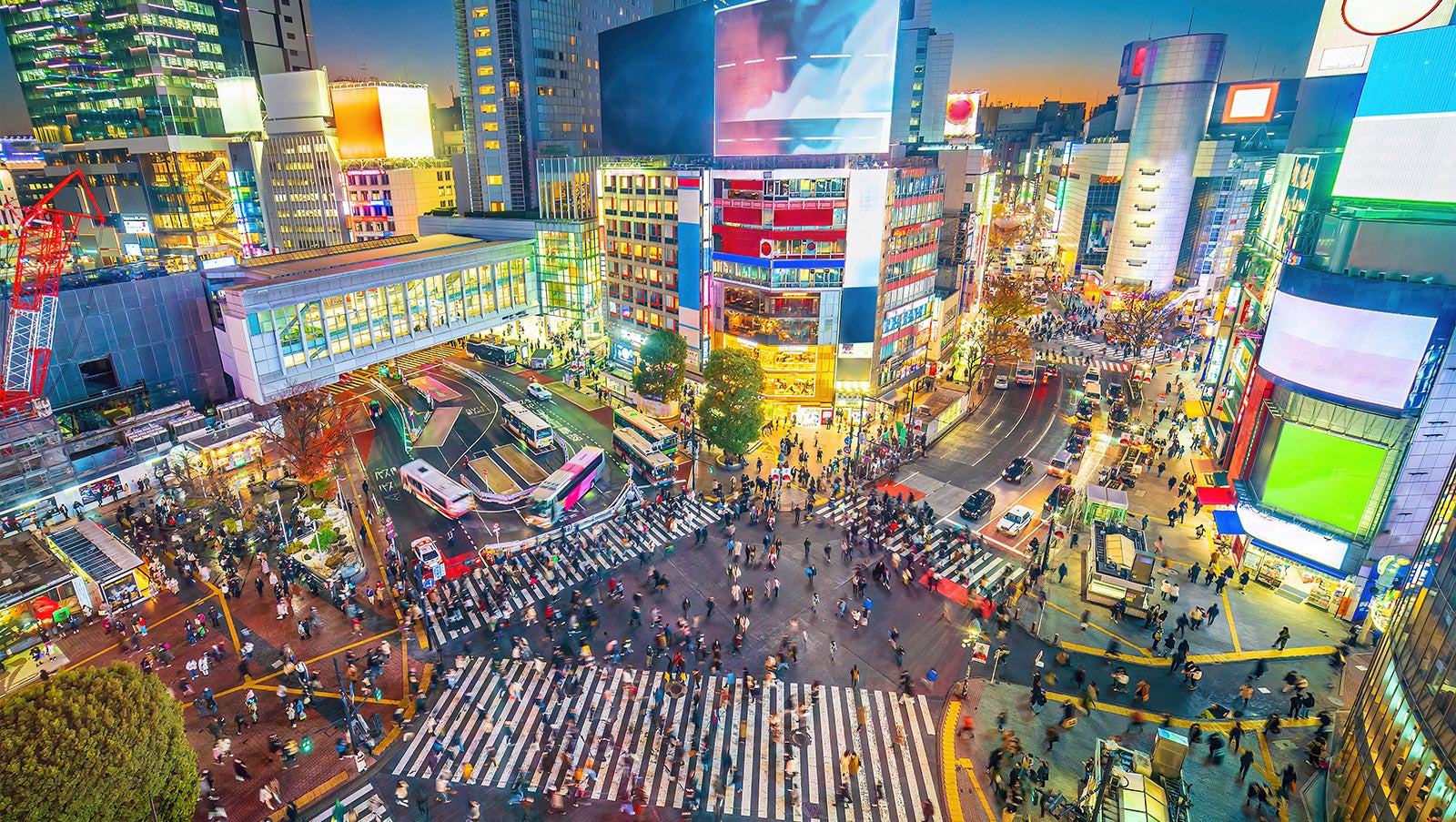 Shibuya Crossing, Tokyo