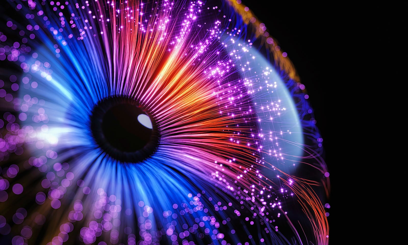 Fibre optic eye