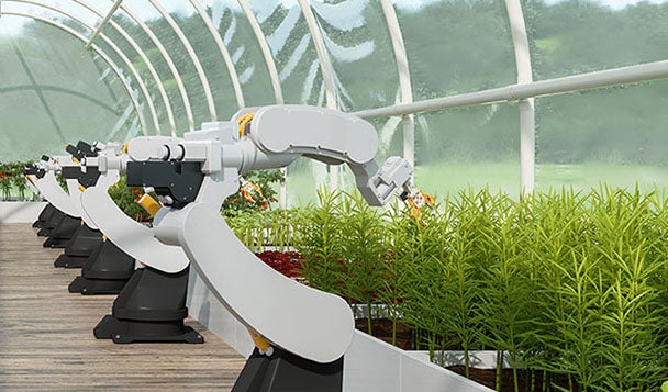 Robot arms pruning plants in a greenhouse