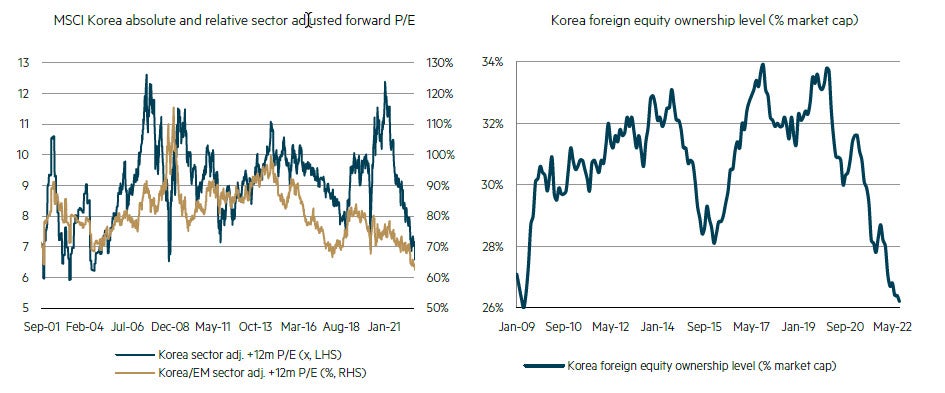Contrarian opportunity emerging in South Korea