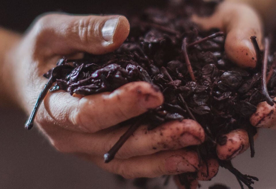 Australian Wine | handful of crushed grapes | Devotion