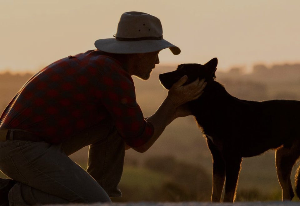 Black Hawk Pet Care | A photograph at dusk showing a farmer on one knee holding his dog by the scruff of the neck in a loving embrace | Devotion