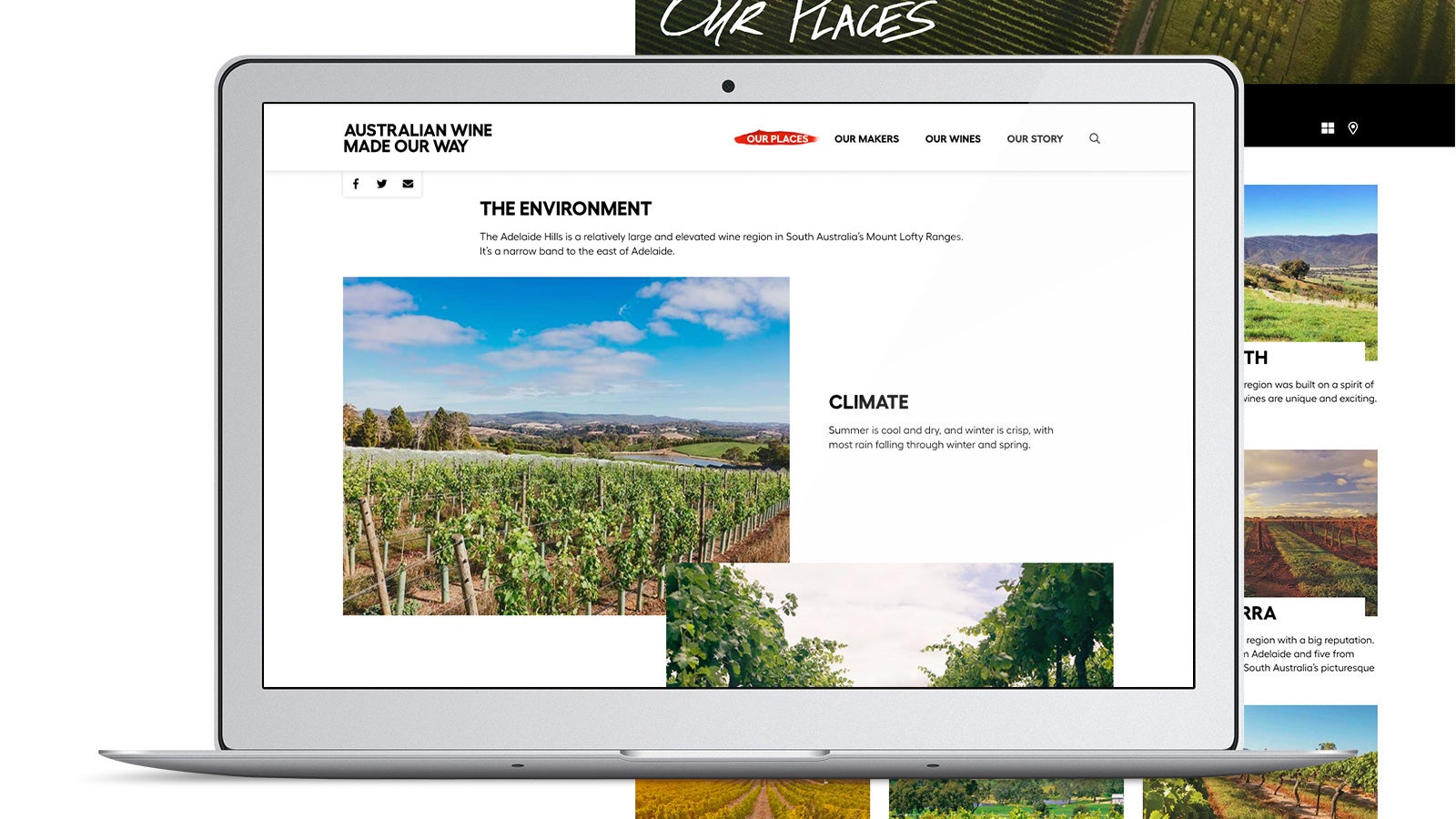 Australian Wine | laptop website | Devotion