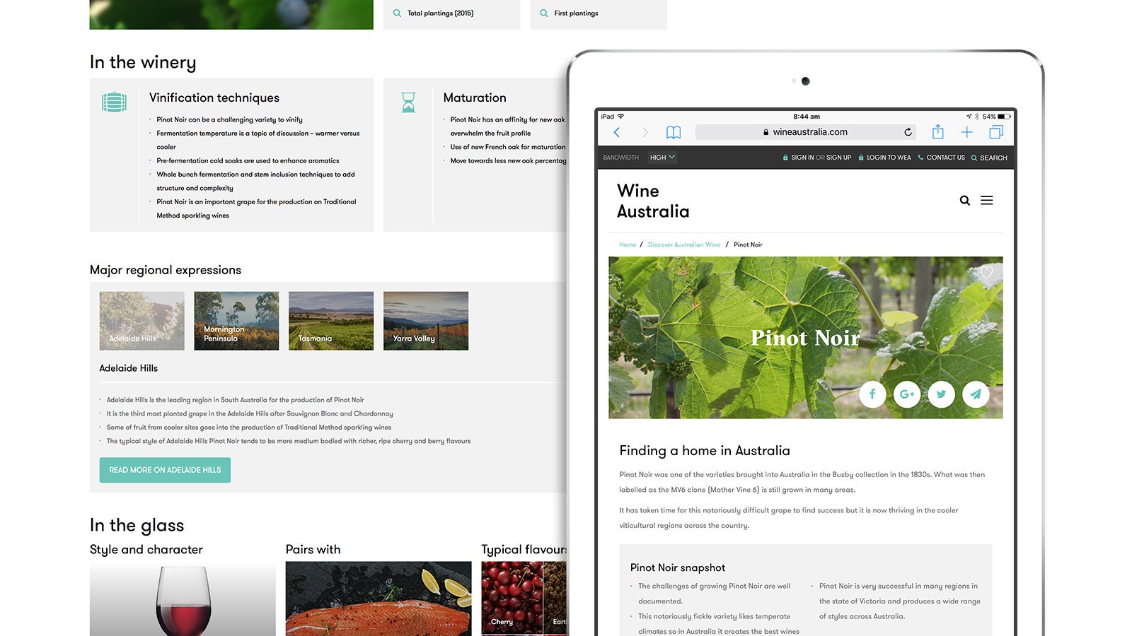 Wine Australia | Pino Noir information page shown on an iPad | Devotion